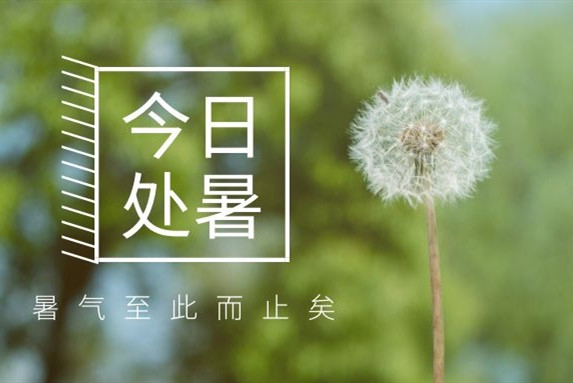 【衡陽通用電纜】處暑不是暑，秋涼知我意